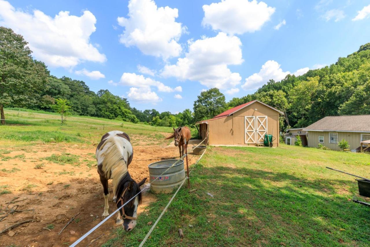 נאשוויל 4 Bedroom Country Getaway מראה חיצוני תמונה